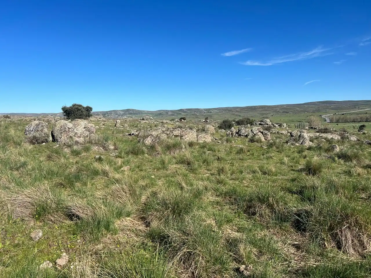 Terreni e lotti in vendita a Tornadizos de Ávila, imagen 12
