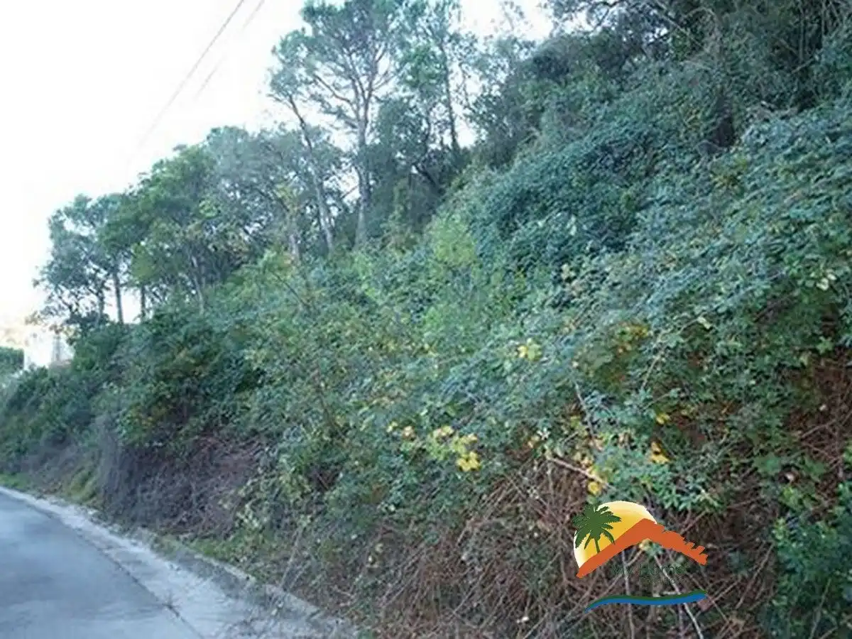 Terreno residencial en venta en Serra Brava, imagen 5