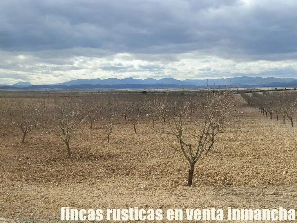 Rustikales Grundstück zum Verkauf in Cieza, imagen 17