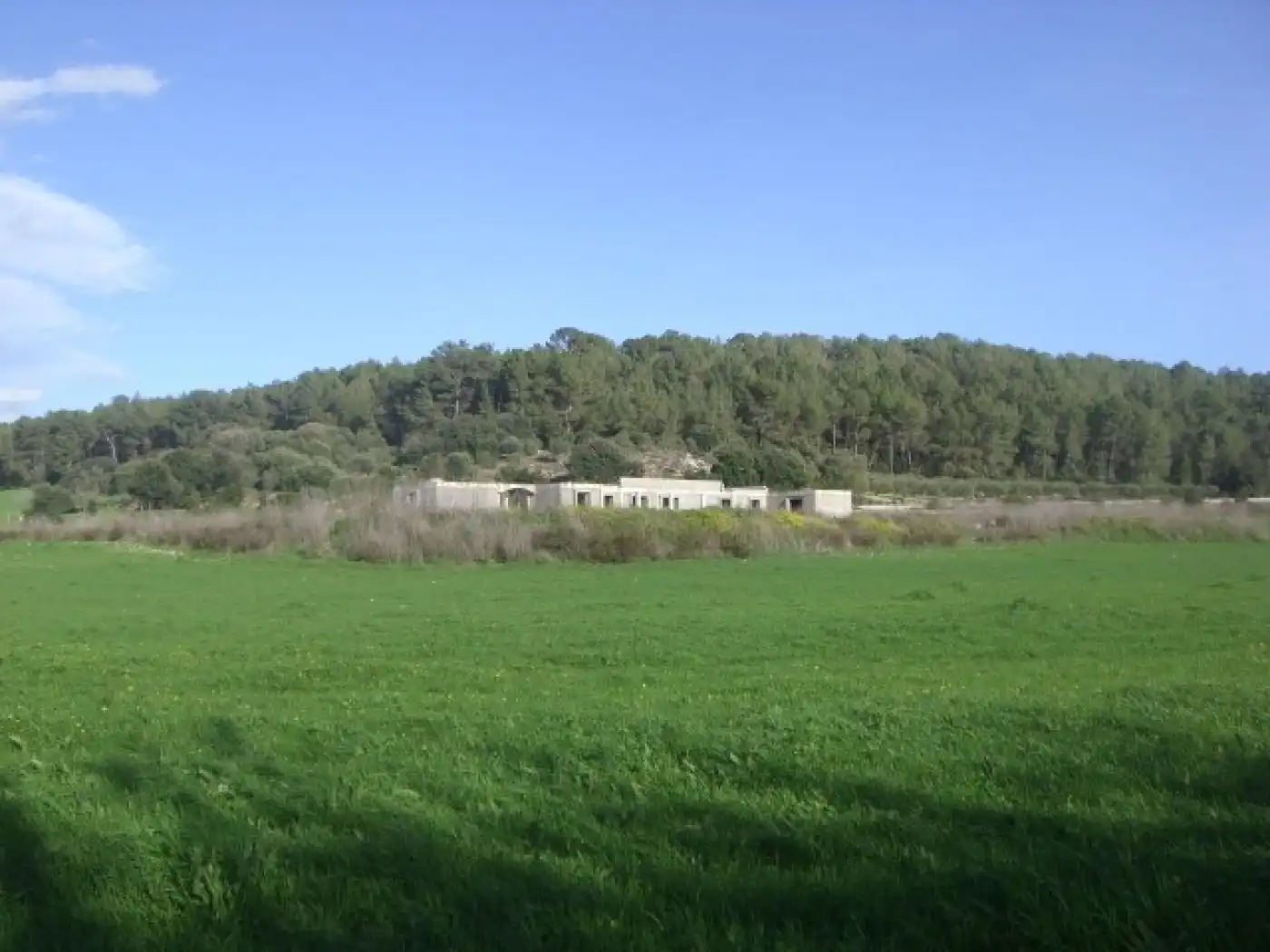 Casa rustica in vendita a Algaida, imagen 5