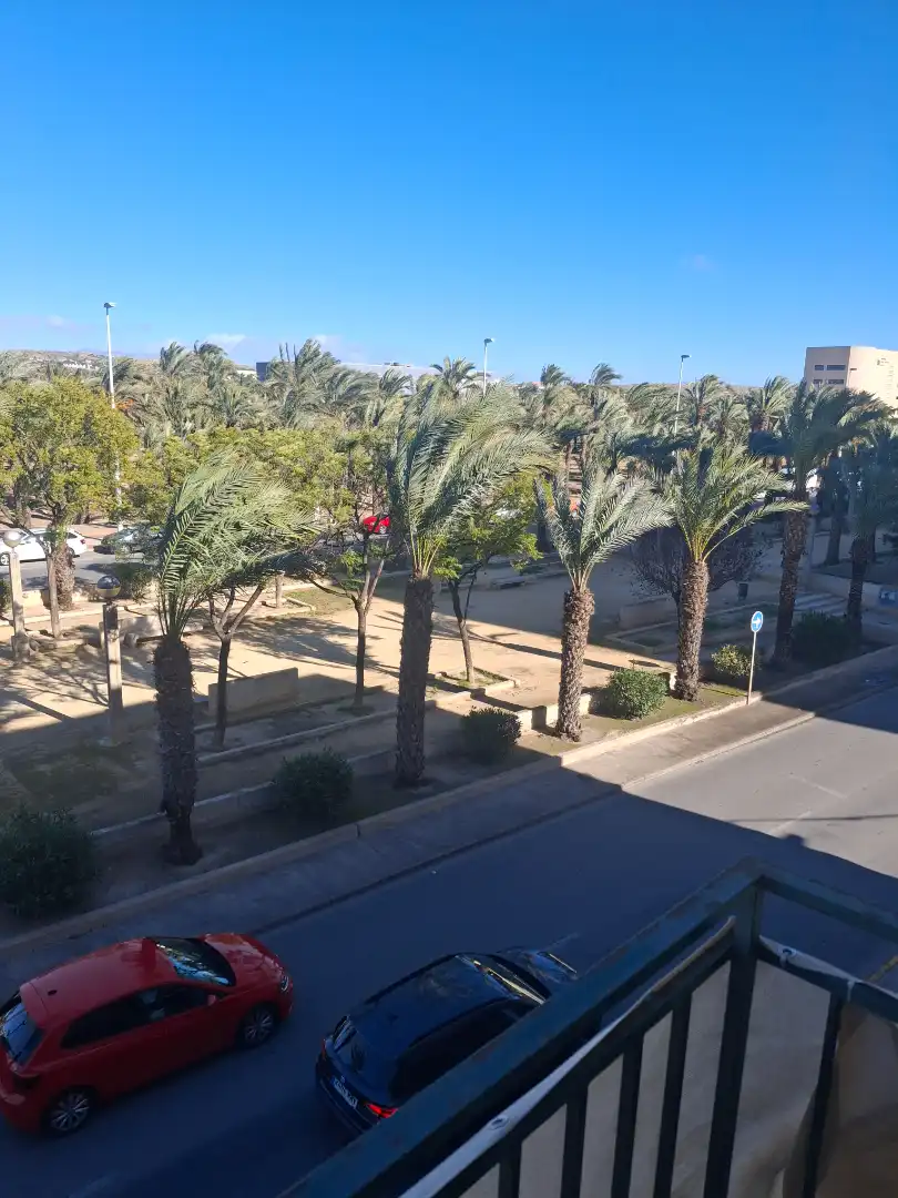 Vista exterior de Pis en venda en Elche / Elx