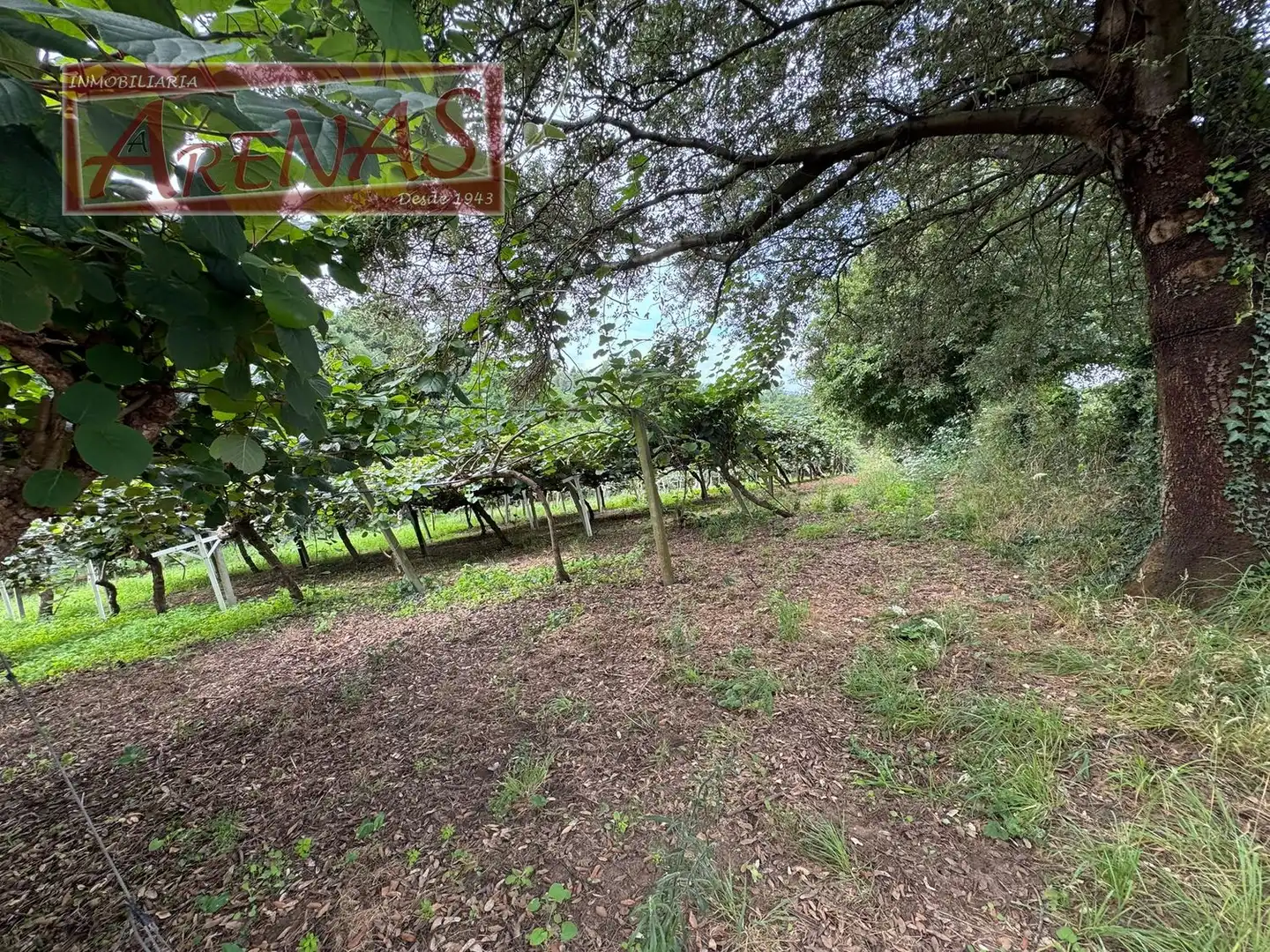 Land for sale in Marina de Cudeyo