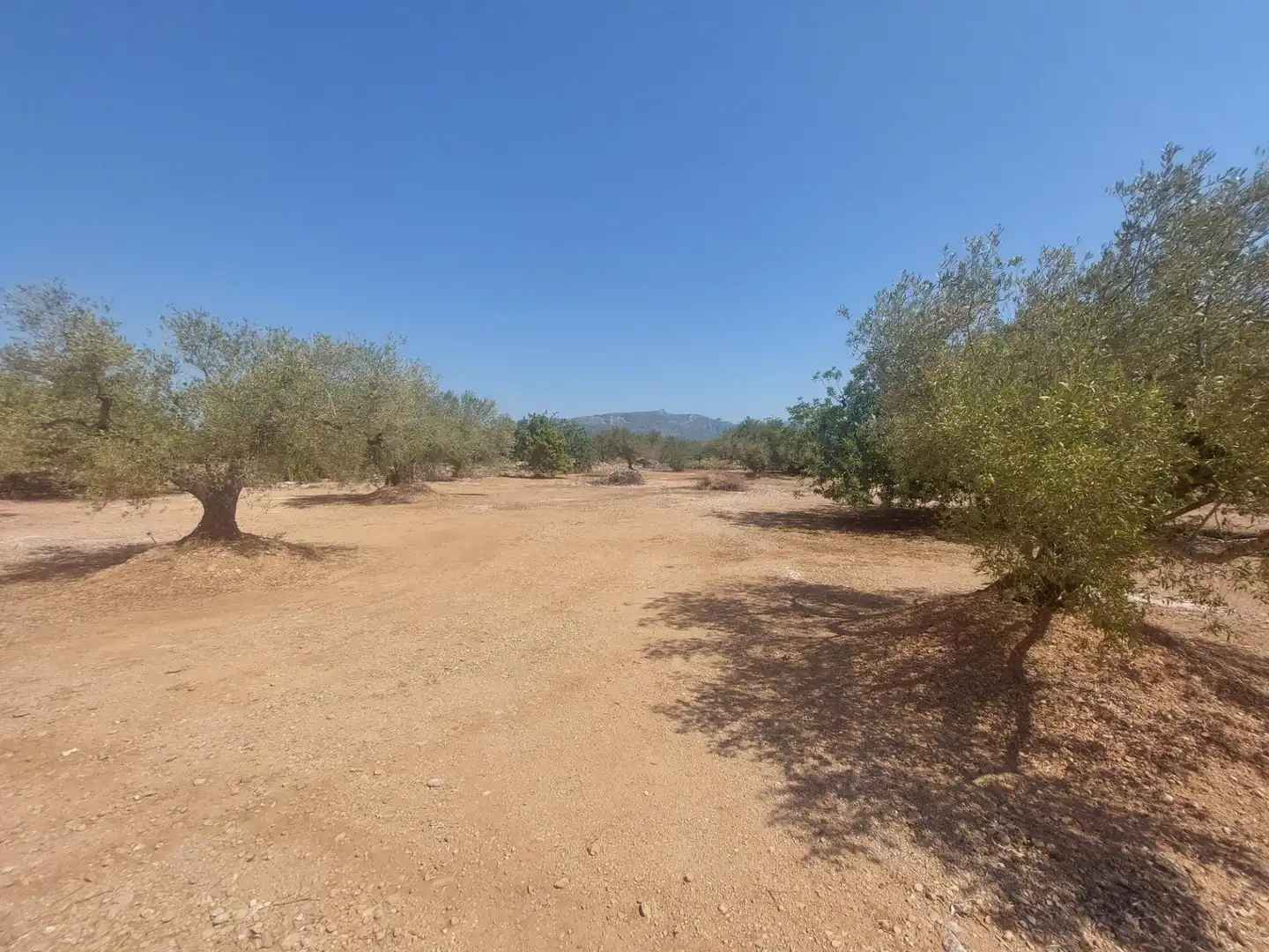 Casa amb jardí en venda a L'Ametlla de Mar pueblo, imagen 19