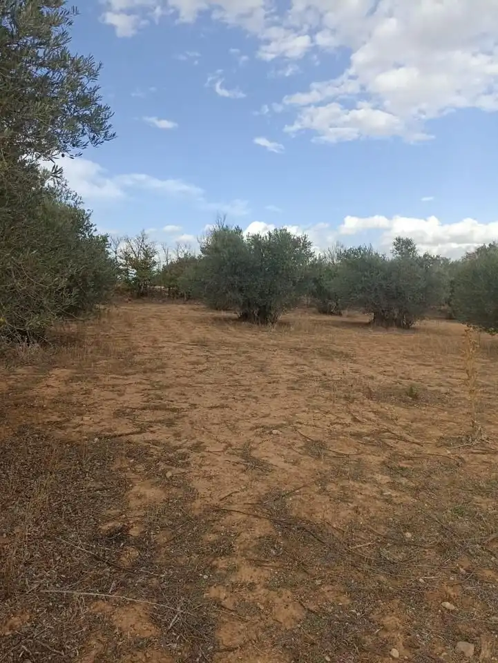 Terreni e lotti in vendita a Tarancón, imagen 4