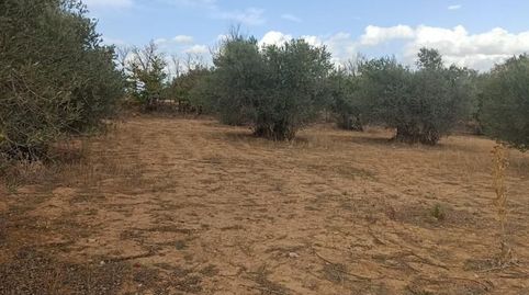 Este terreno se encuentra en POLIGONO 507 - PARCELA 5090 EN TARANCON. Es un terreno que tiene 1595 m2 de los cuales 1595 m2 son út, immagine 4