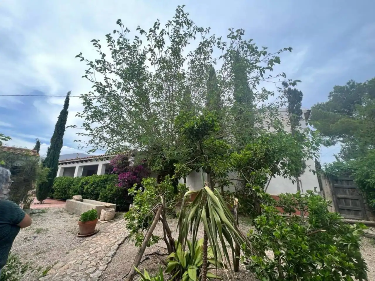 Terreno rústico en venta en Monforte del Cid, imagen 3
