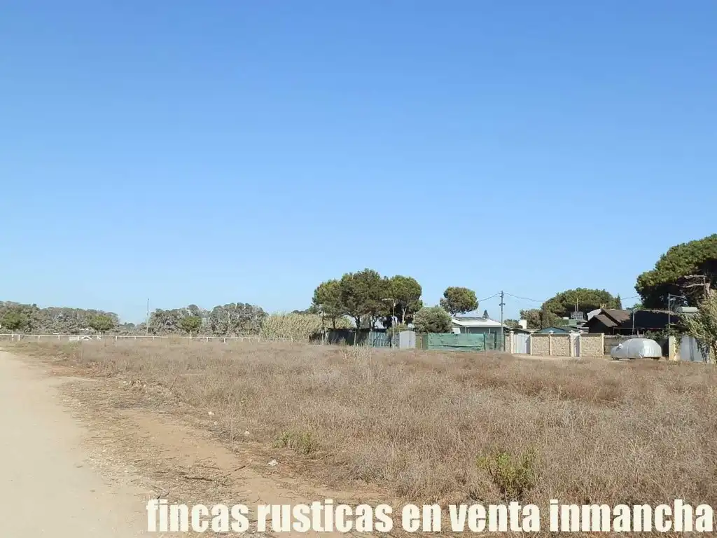 Rural land for sale in Centro - La Costilla, imagen 2