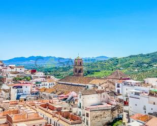 Vista exterior de Pis de lloguer en Álora amb Aire condicionat i Terrassa