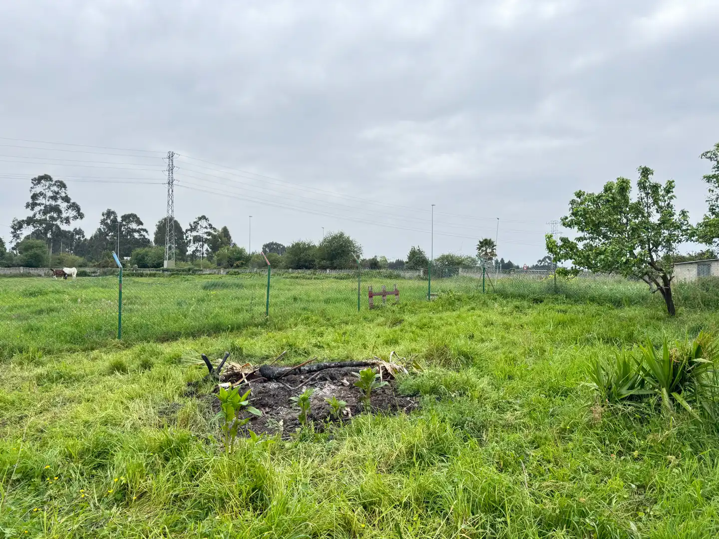Casa o xalet en venda en Castrillón amb Calefacció, Jardí privat i Parquet