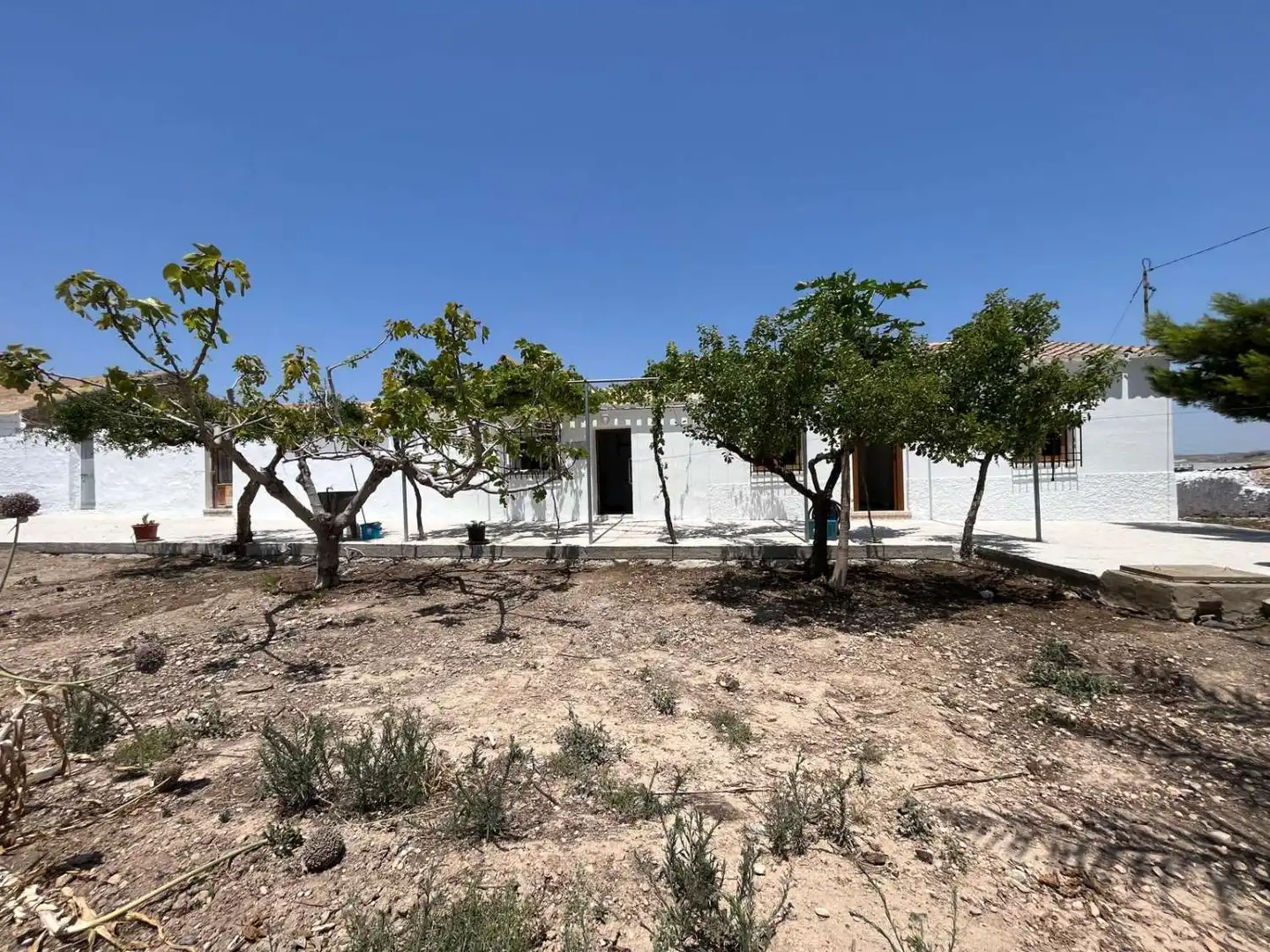 Finca rústica de alquiler en Palomares