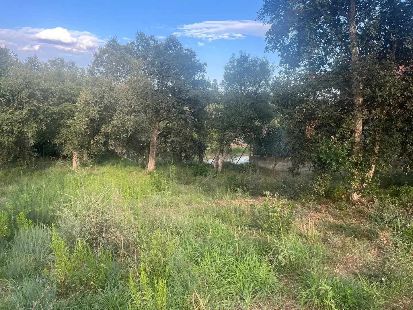 Residential land for sale in Sils, imagen 5