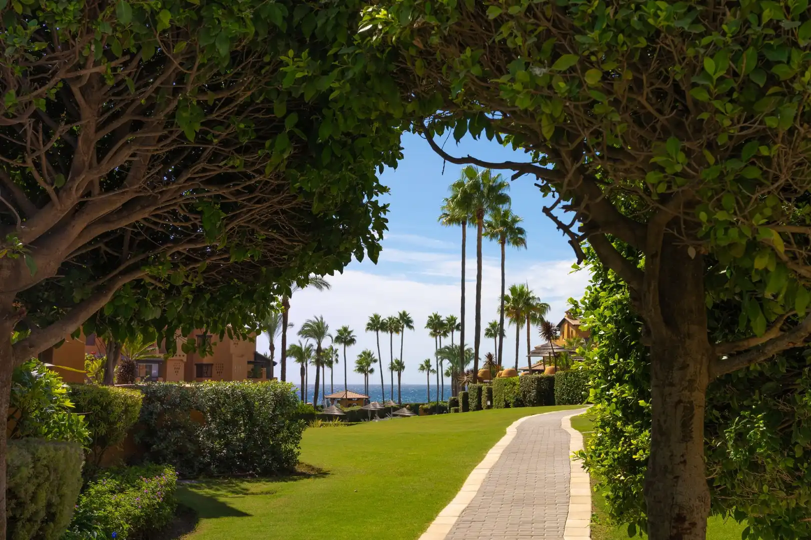 Apartment with terrace for sale in Punta Plata, imagen 14