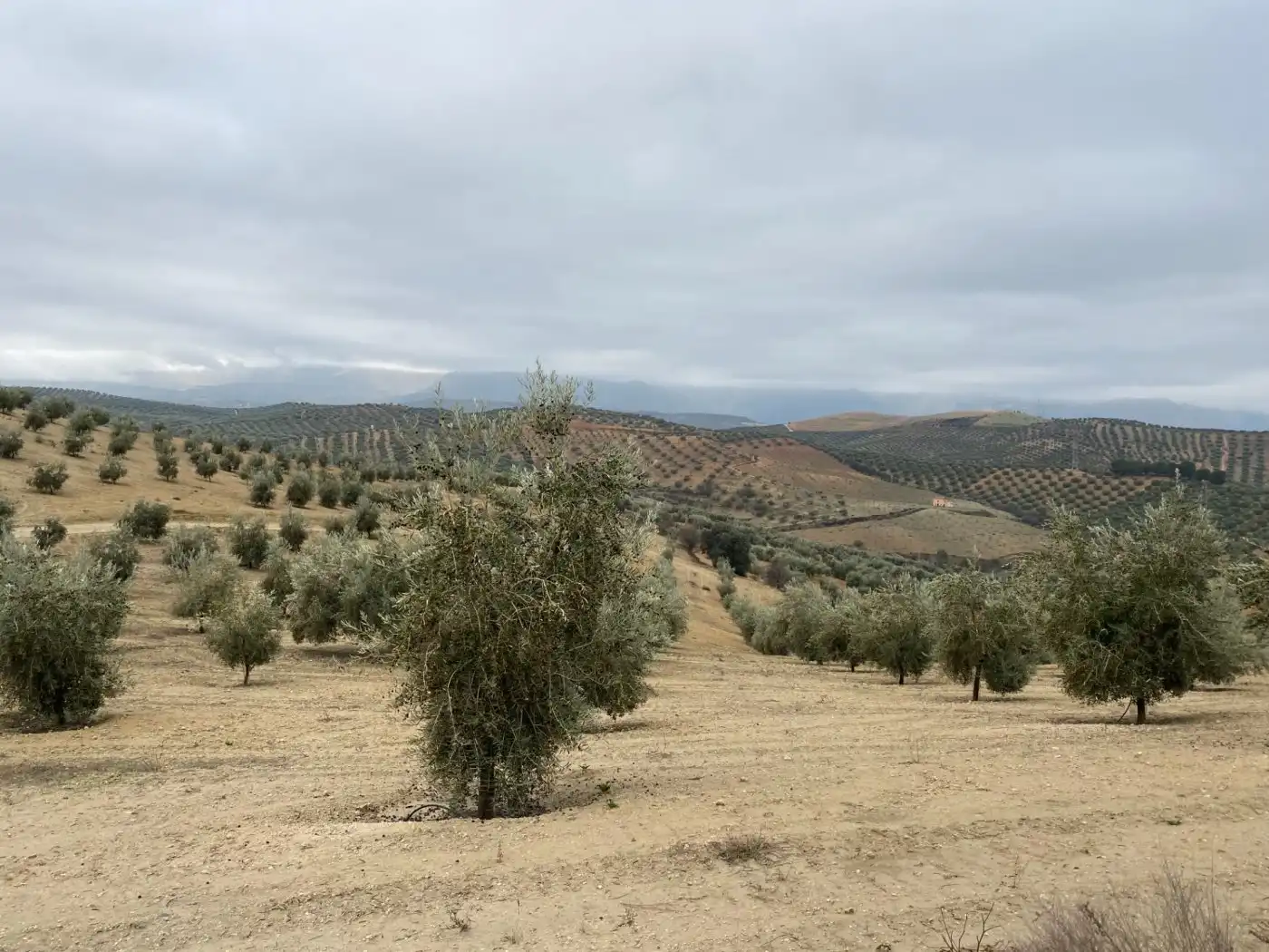 Casa rustica in vendita a Huétor Tájar, imagen 30