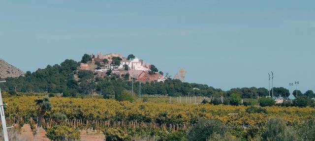 Nave industrial en Venta en N/A en Pau Lledó