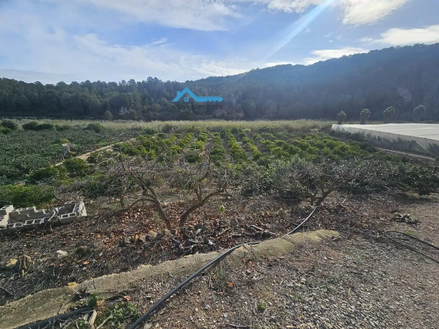 Country house with garden for sale in Callosa d'en Sarrià