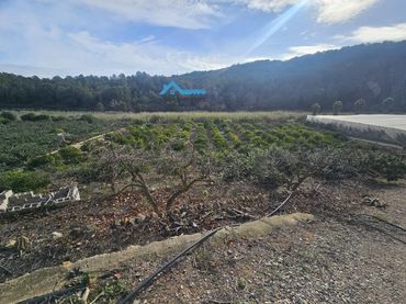Casa rústica amb jardí en venda a Callosa d'en Sarrià