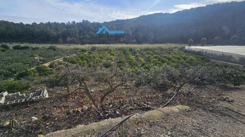 Finca rústica con gran parcela y múltiples posibilidades cerca de Altea