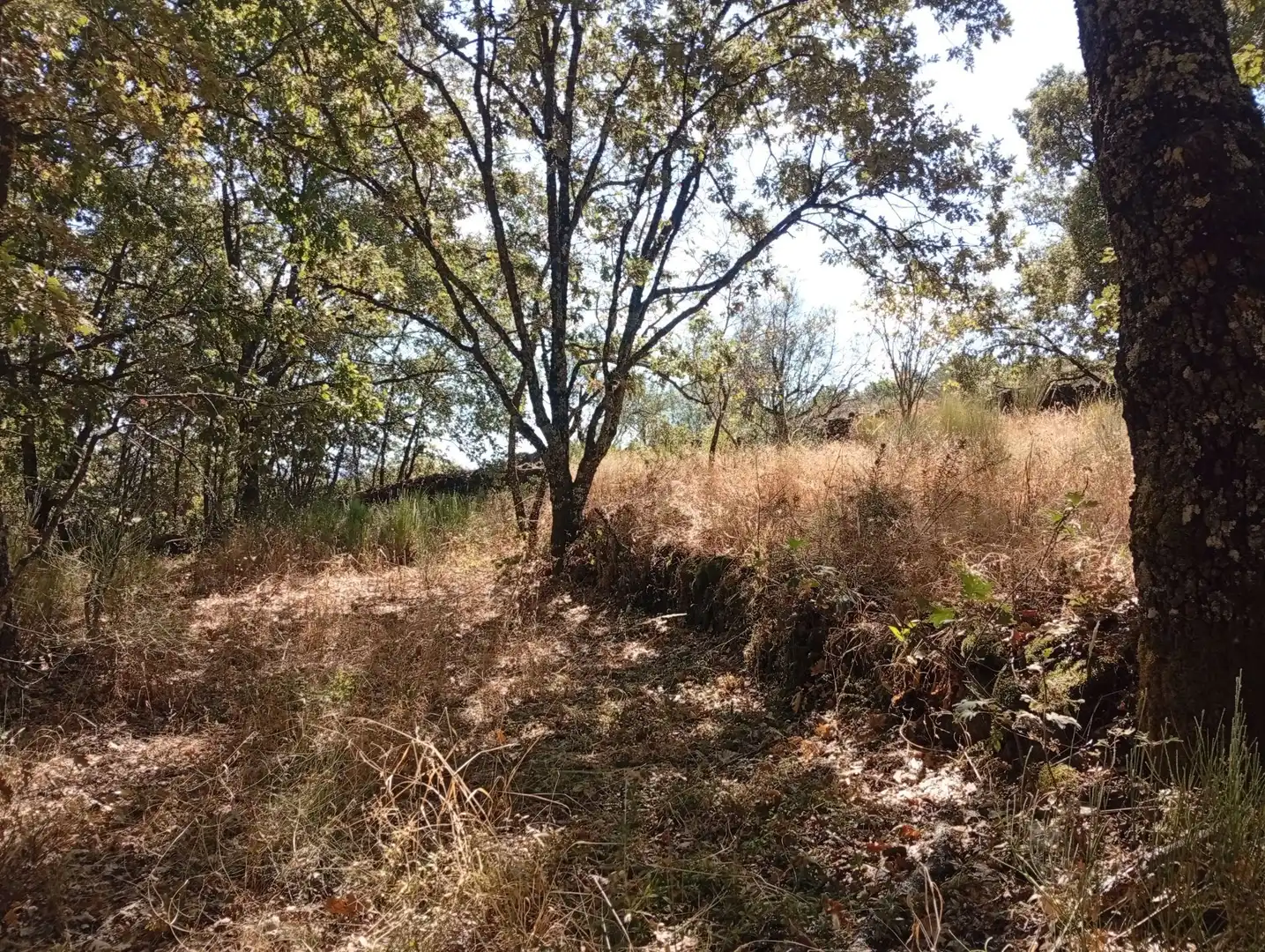 Terreni e lotti in vendita a Villanueva de la Vera, imagen 23