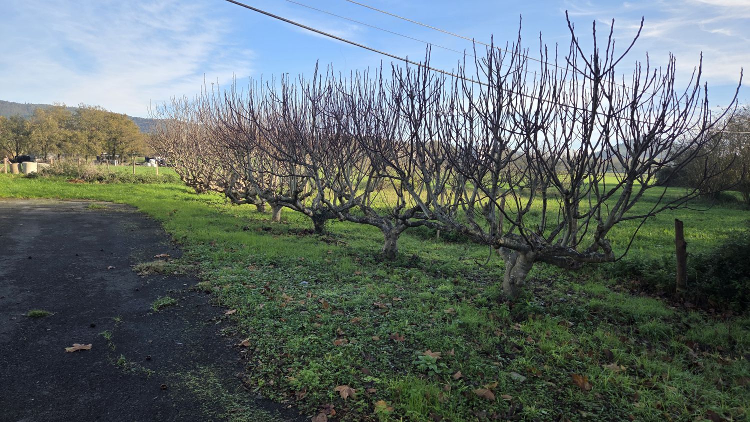 Residential zum verkauf in Zamudio