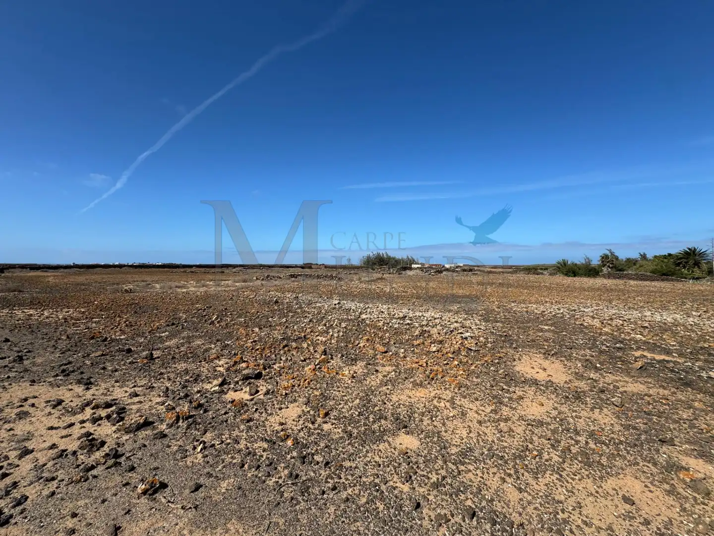 Land for sale in La Oliva