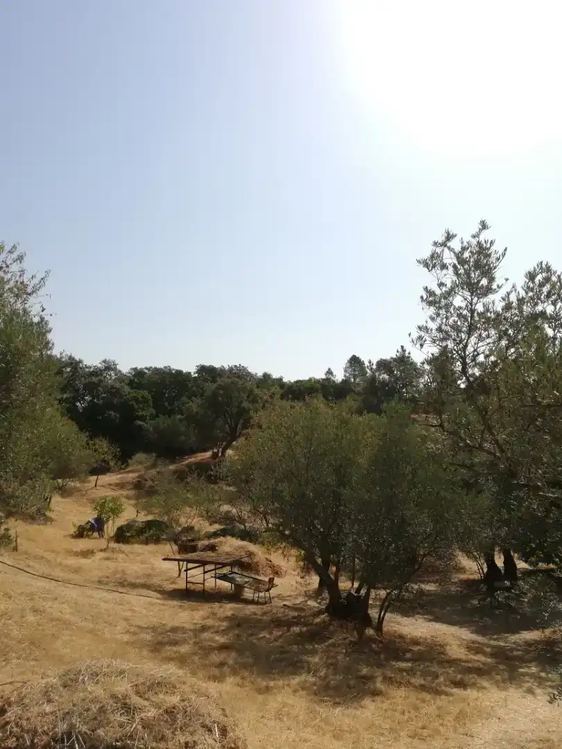 Finca rústica en venda en Plasencia amb Jardí privat, Traster i Piscina