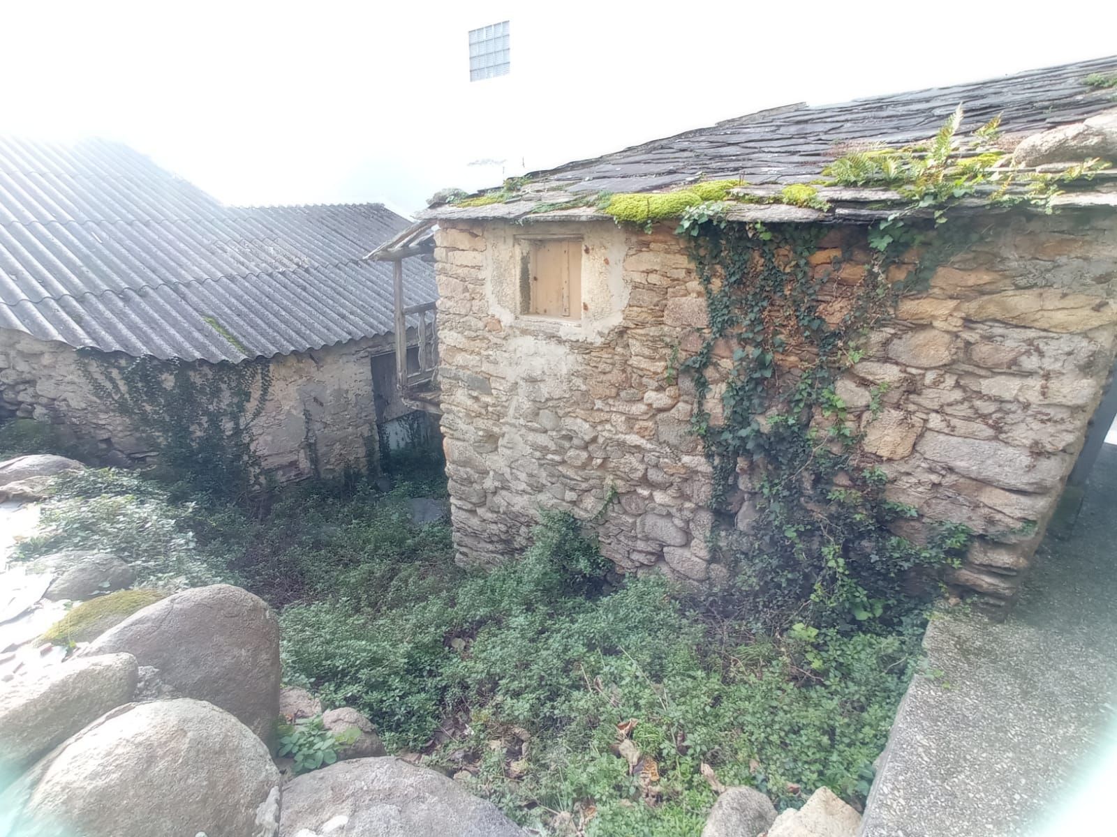 Vista exterior de Finca rústica en venta en Mañón