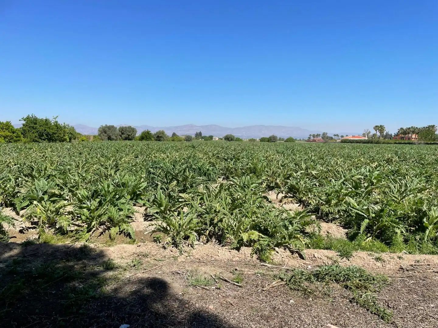 Terreno rústico en venta en cv 912 96, imagen 2