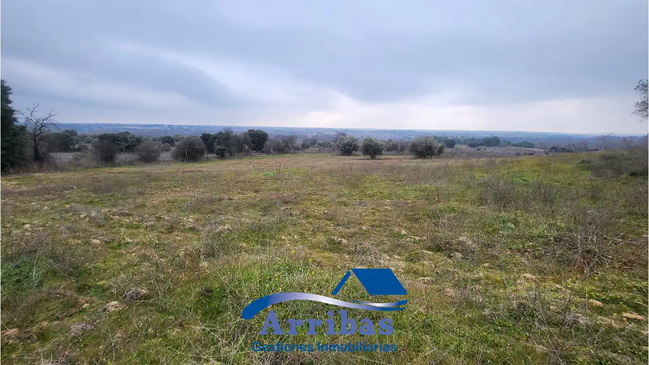 Country homes for sale in Escalona