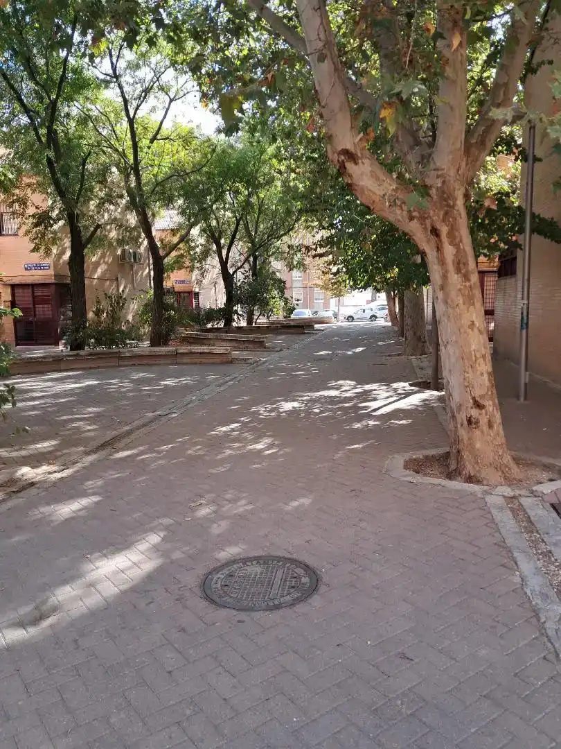 Vista exterior de Casa adosada en venta en Madrid con Jardín privado y Amueblado