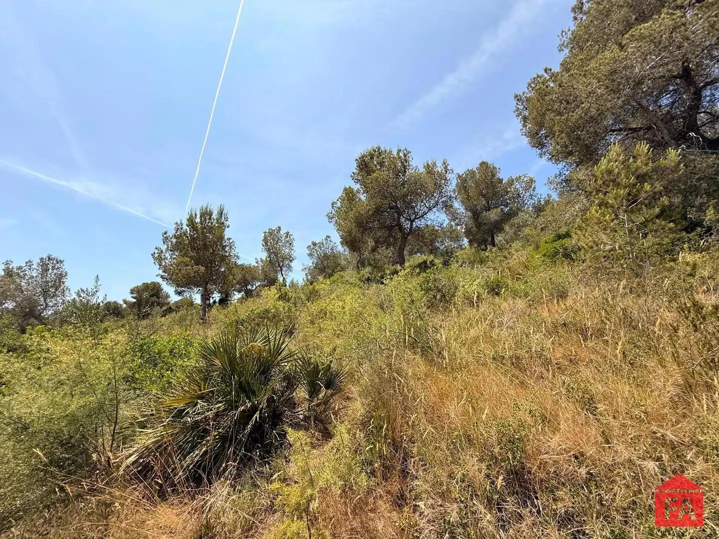 Rural land for sale in MARGARIDA, imagen 5