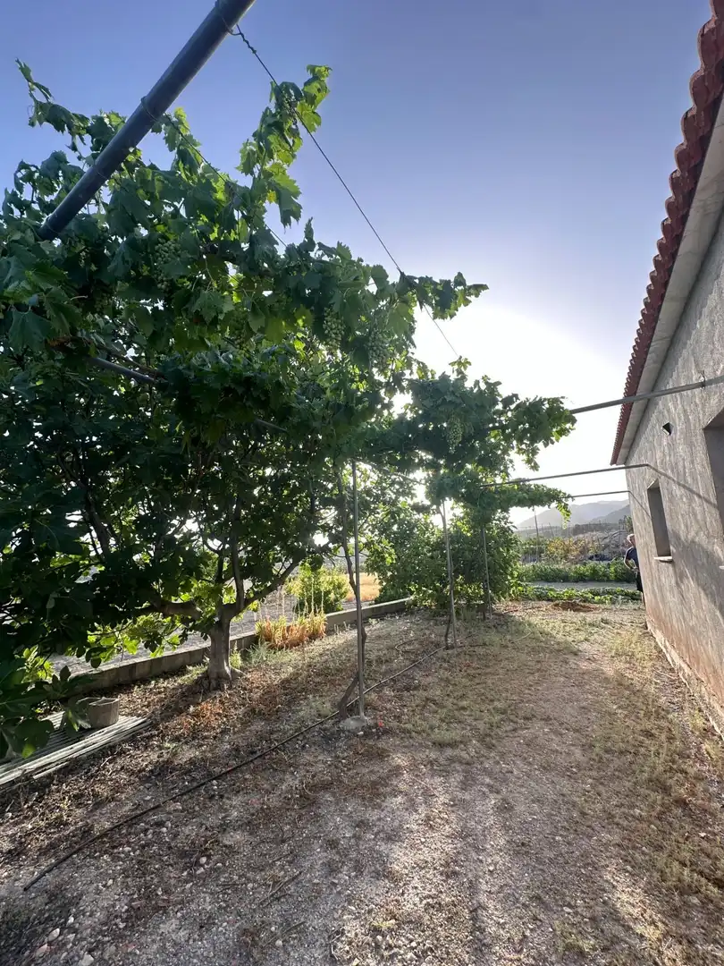 Finca rústica en venta en Somontín