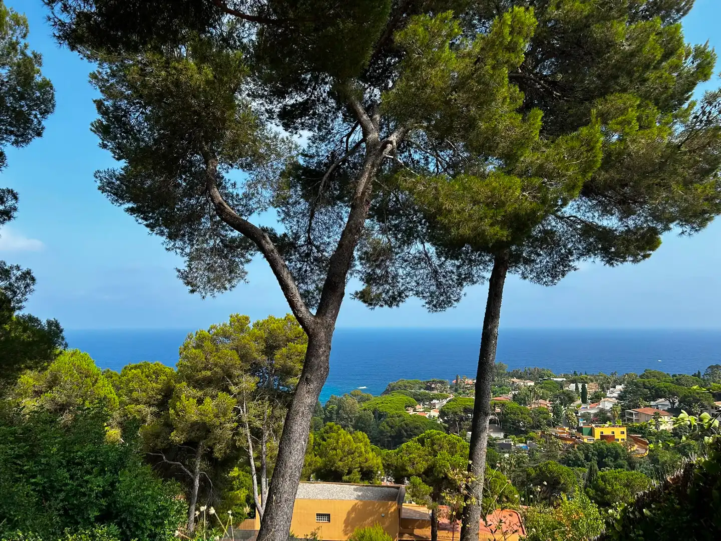 Vista exterior de Residencial en venda en Blanes