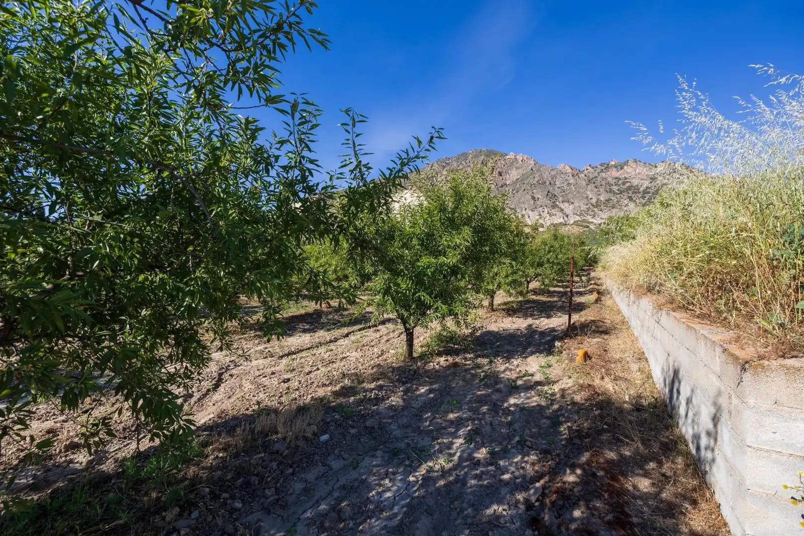 Rural land for sale in Dúrcal, imagen 15