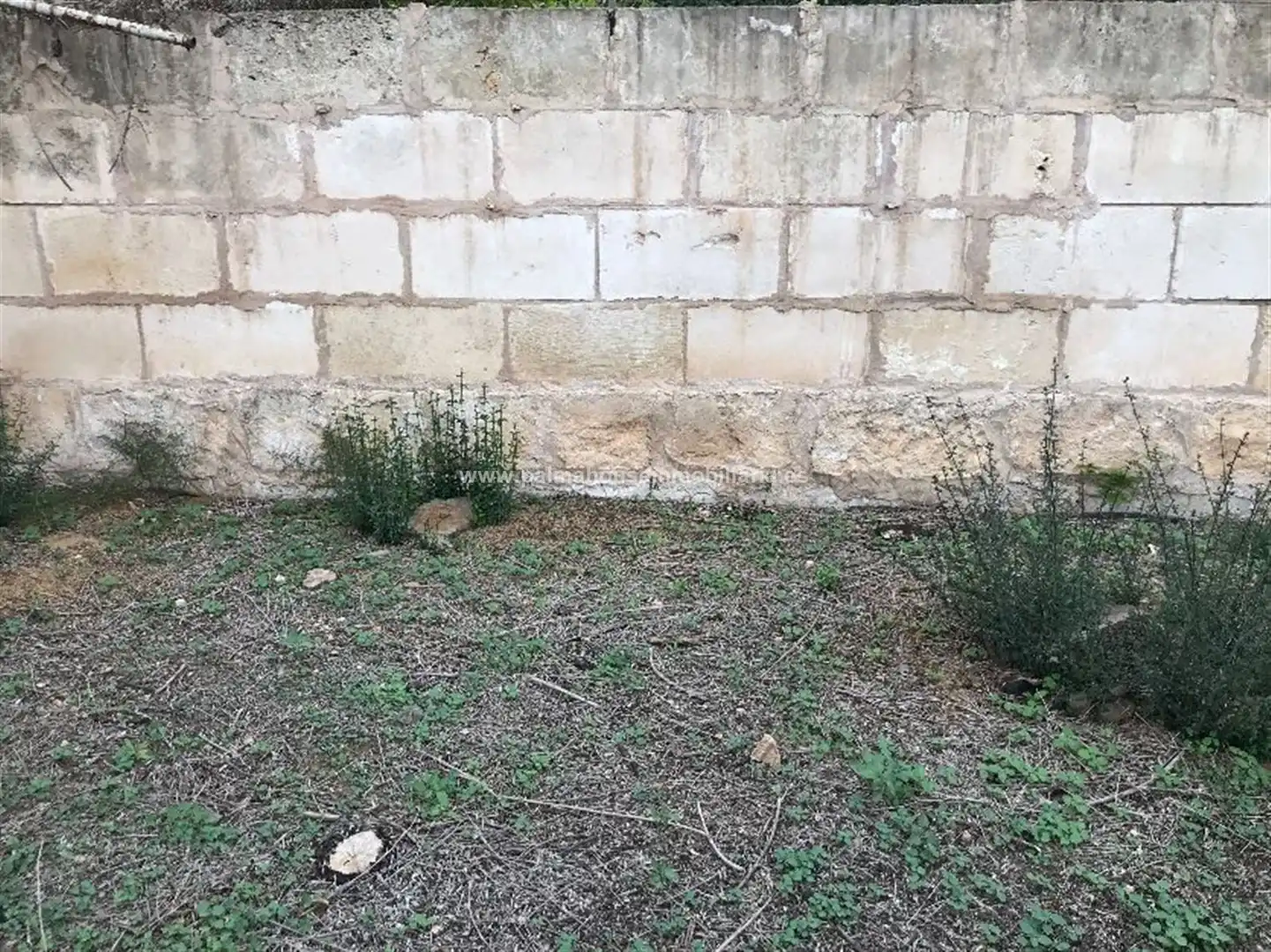 Wohnbaugrundstück zum Verkauf in Muro, imagen 2