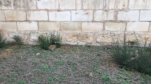 solar centrico en Muro, immagine 2