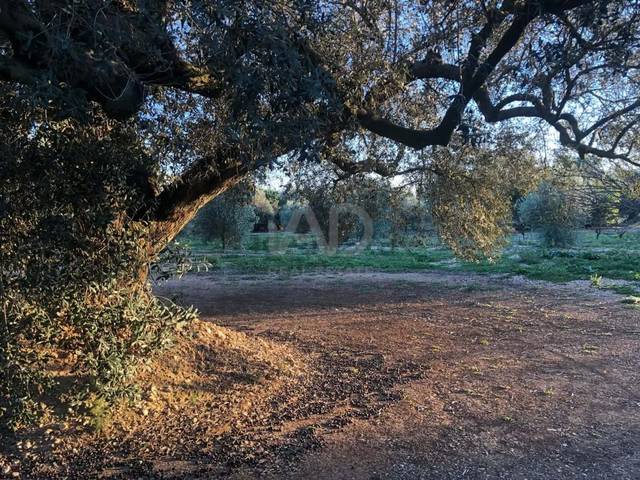 Terreno en Venta en San Rafael del Río