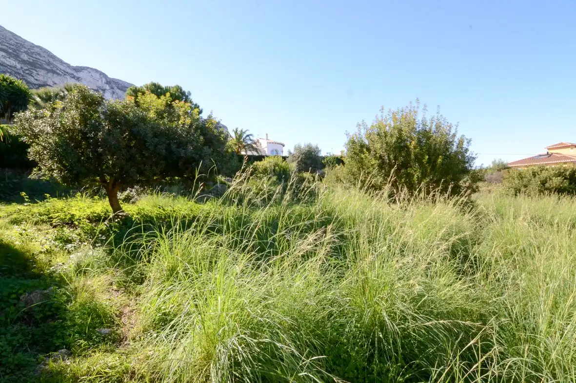Terreno residencial en venta en El Montgó, imagen 5