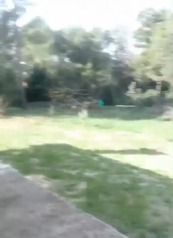 Maison rustique à vendre à Partida les Foyes, imagen 4