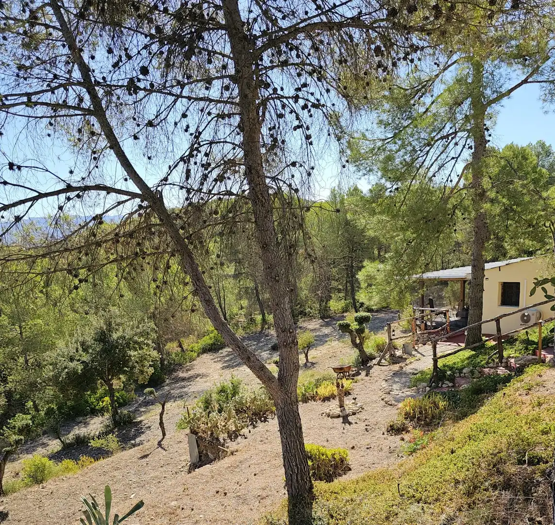 Jardín de Finca rústica en venta en Tivissa con Aire acondicionado y Internet