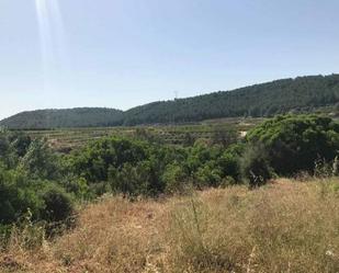 Land for sale in Estubeny