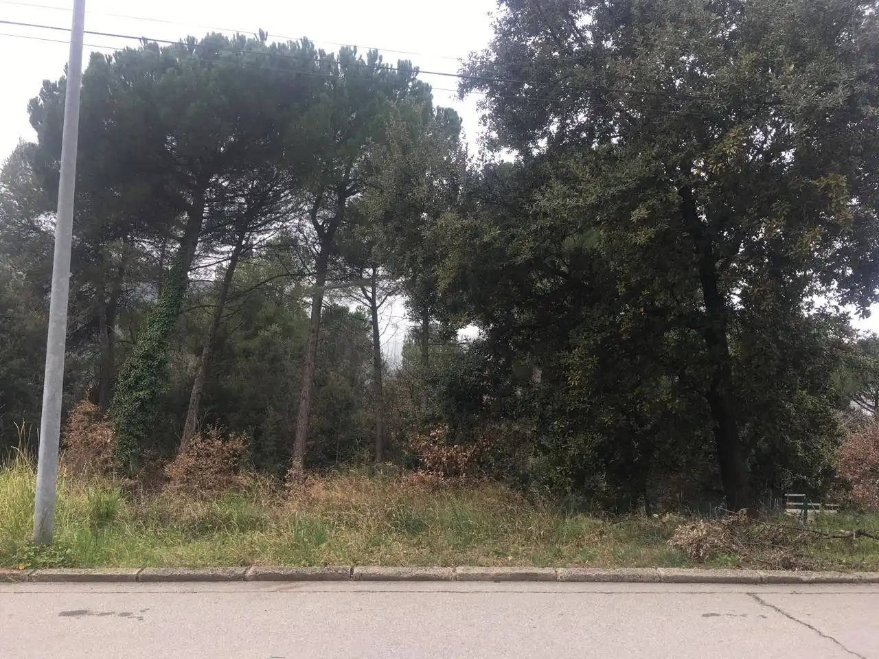 Terreni e lotti in vendita a Seva, imagen 2