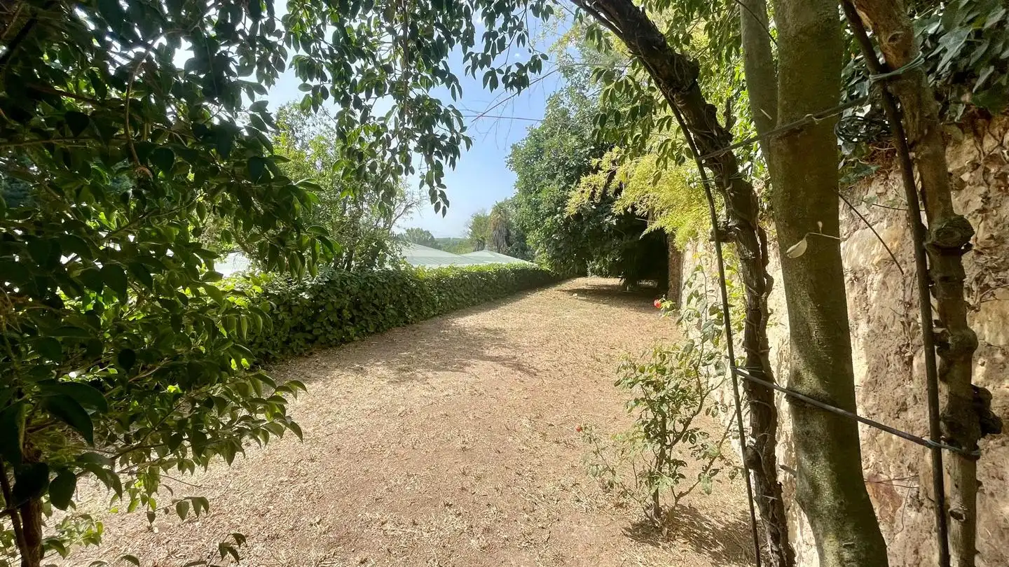 Haus mit Garten zum Verkauf in La Parra, imagen 24