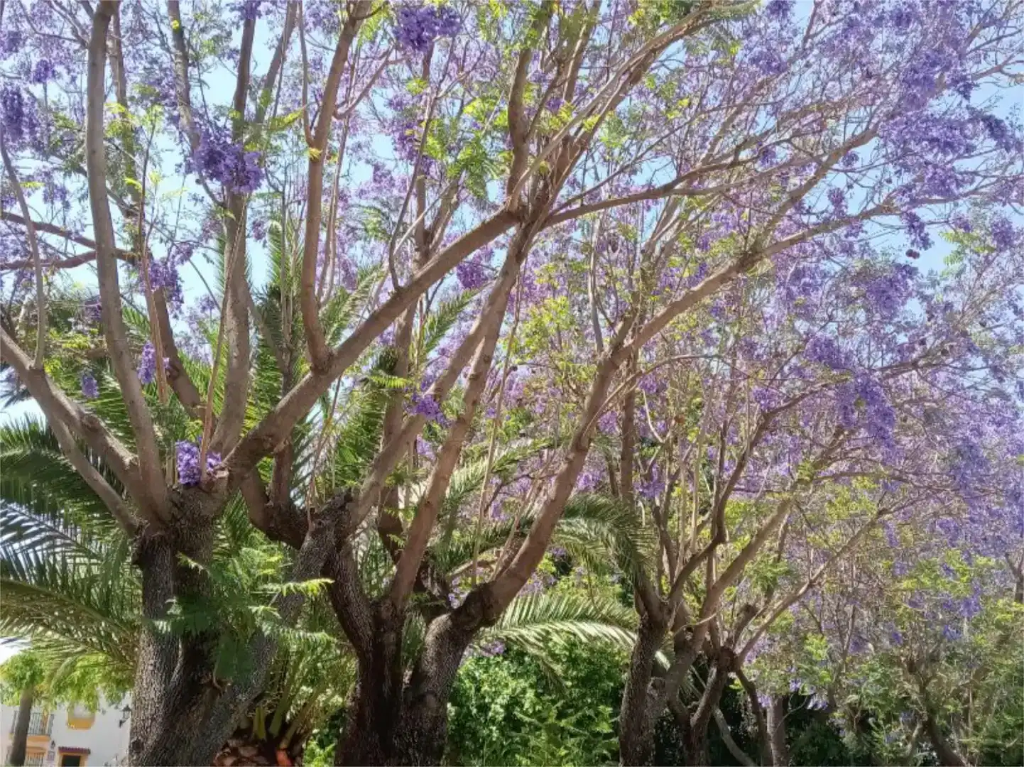 Jardín de Piso en venta en Trigueros con Amueblado