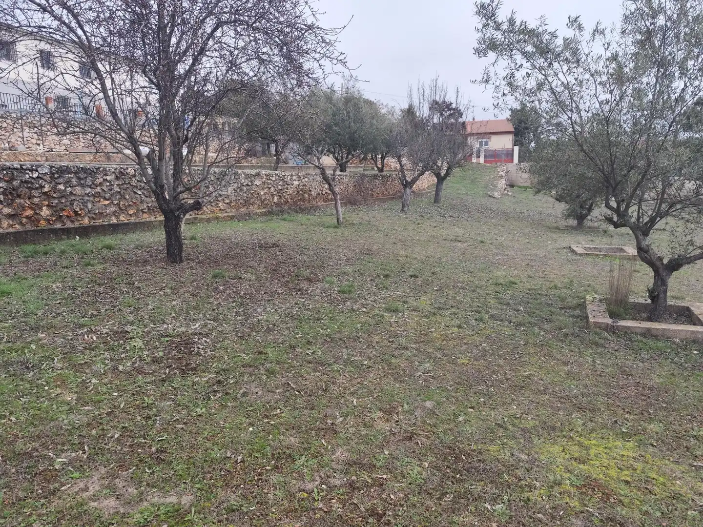 Terrenos y solares en venta en Hontoba