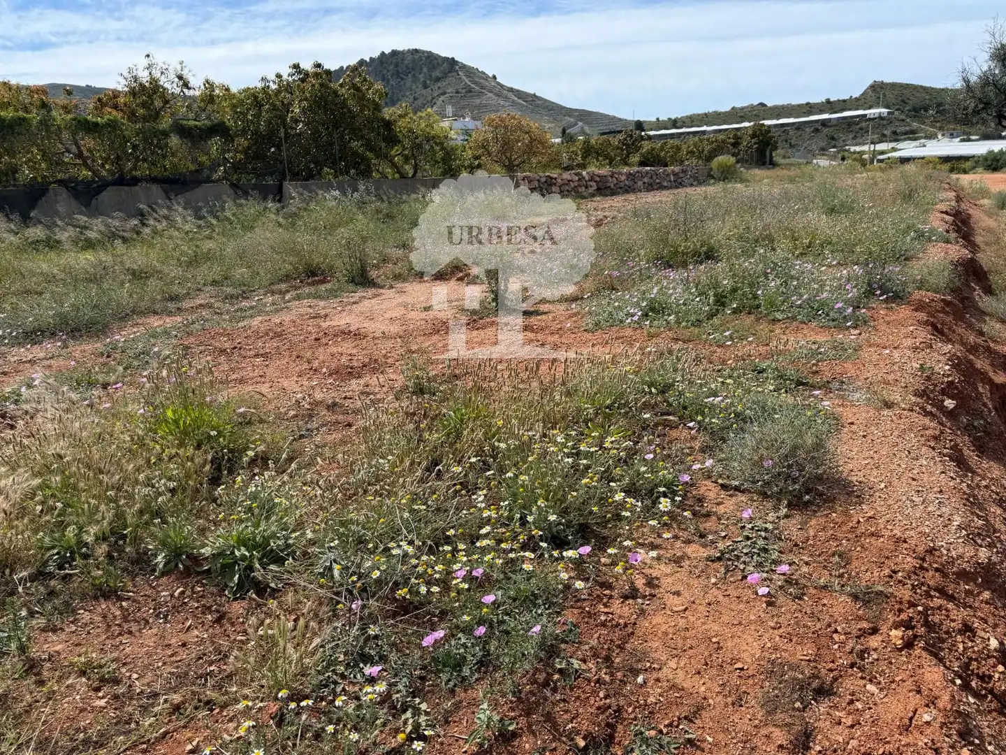 Terreny en venda en Motril