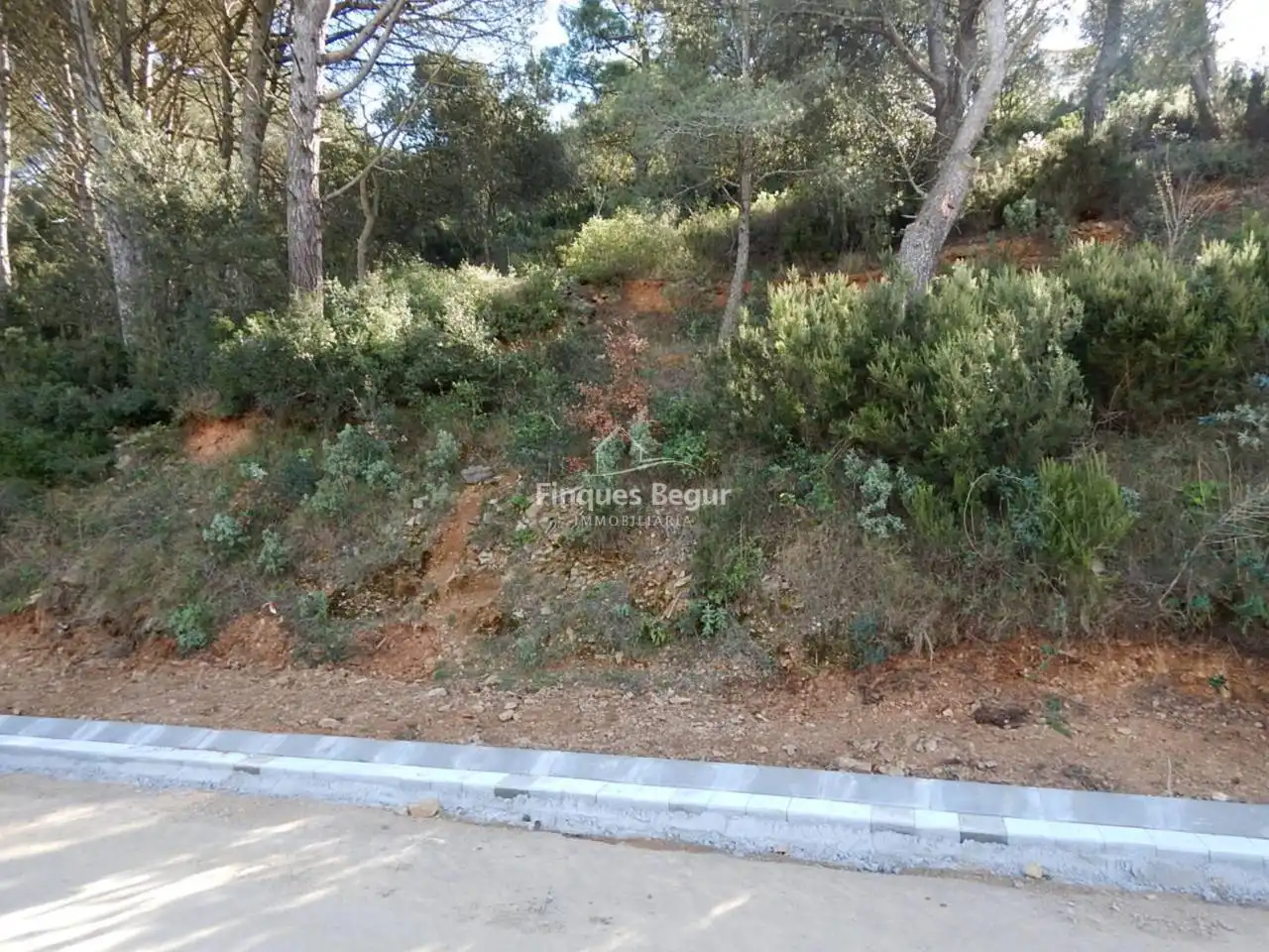 Terreny residencial en venda a Calle Son Rich 29, imagen 3