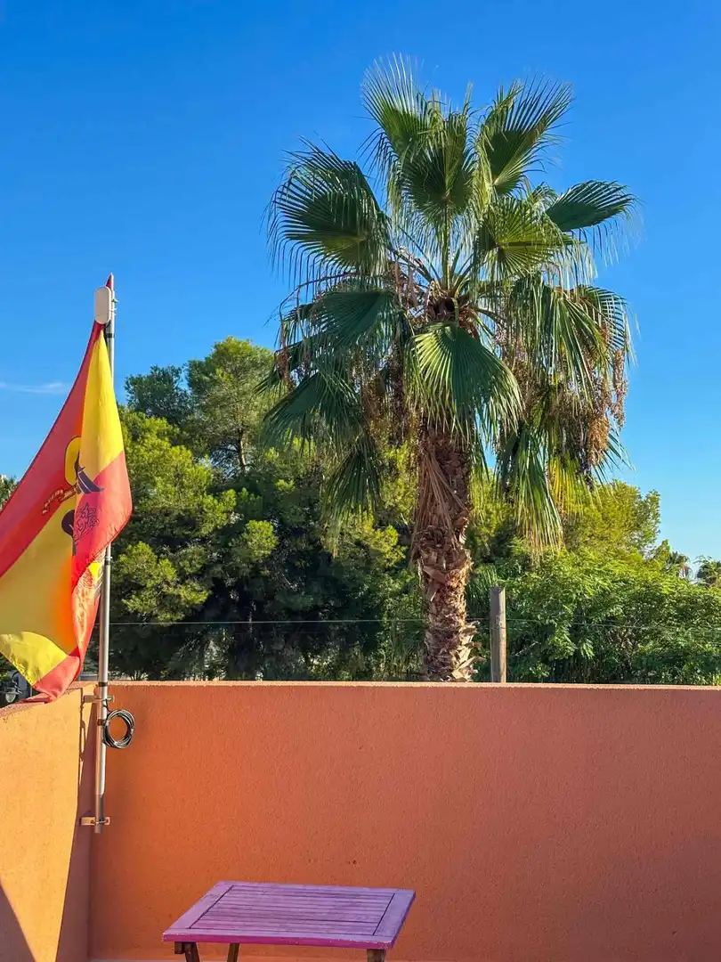 Jardín de Casa o chalet de alquiler en Pueblo Acantilado - Lanuza
