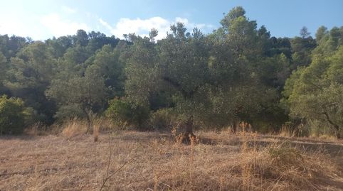 Foto 4 von Grundstücke zum Verkauf in La Torre de l'Espanyol, Tarragona