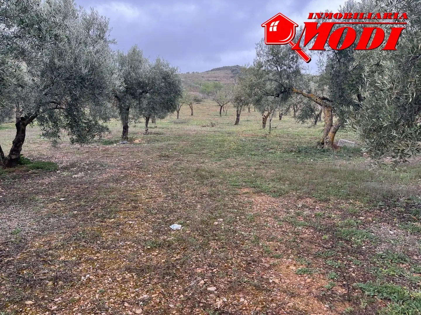 Residencial en venta en Albuñuelas