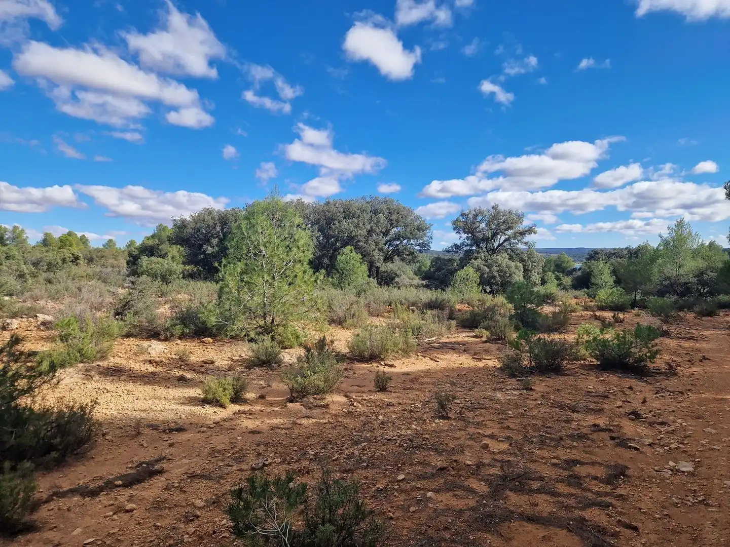 Rural land for sale in Pantano de Peñarroya 0, imagen 35